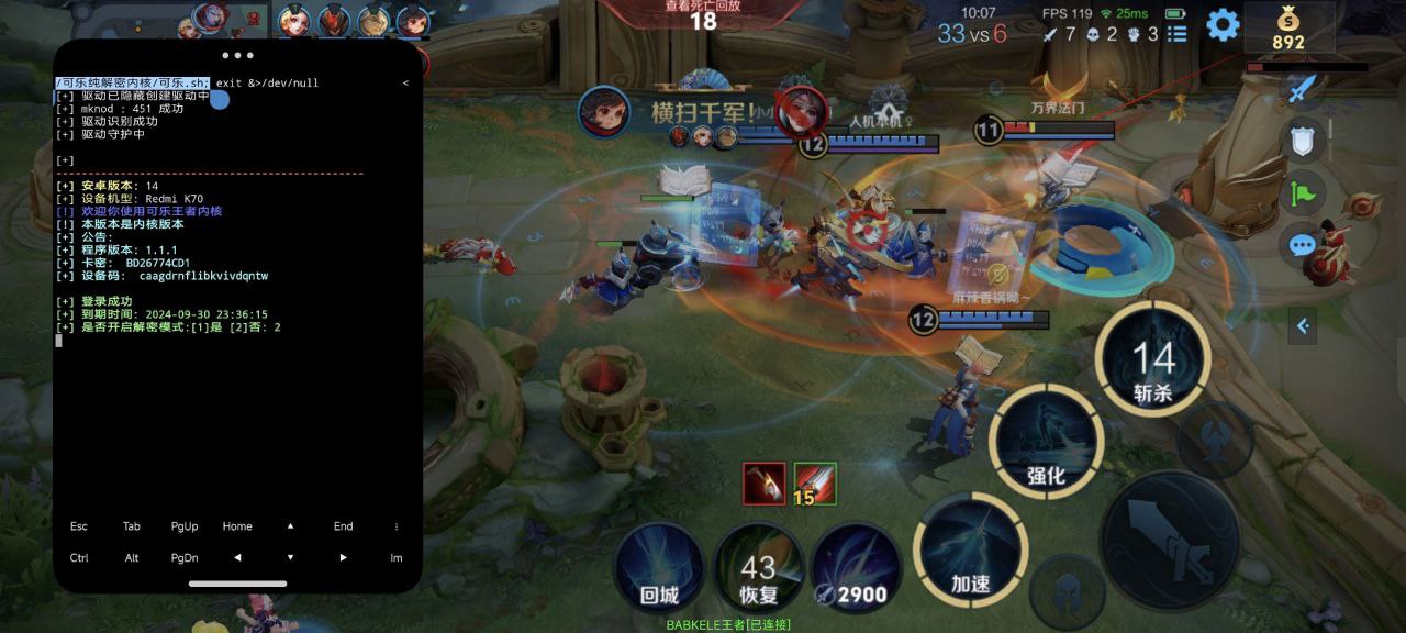 王者荣耀鸭梨外挂